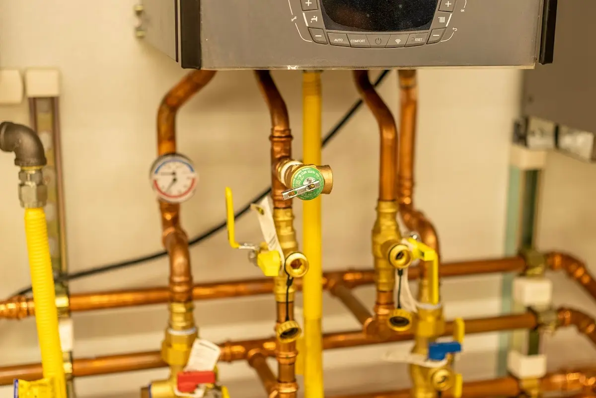 Licensed technician providing Emergency Plumbing for a homeowner in Brewton